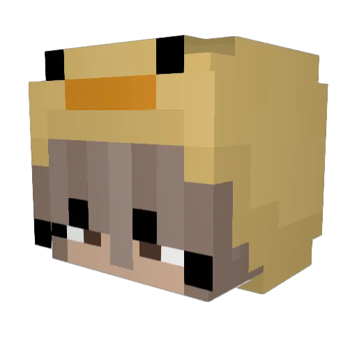 NelleSigge08 Minecraft avatar head, 3D render