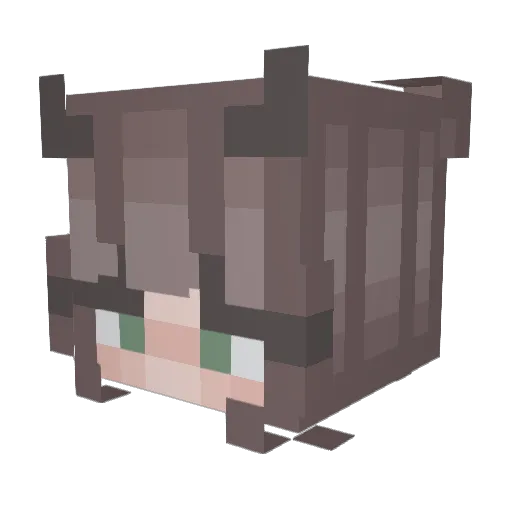 Nellfons Minecraft avatar head, 3D render