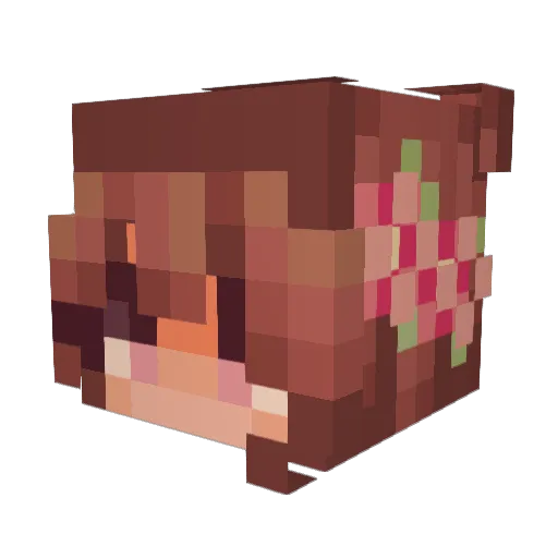 NelliNski Minecraft avatar head, 3D render
