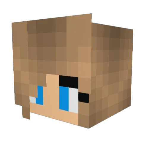 Nellie29 Minecraft avatar head, 3D render