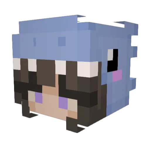 Nelliewhoops Minecraft avatar head, 3D render