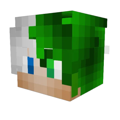 Nellioz Minecraft avatar head, 3D render