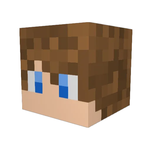 Nellis_30 Minecraft avatar head, 3D render