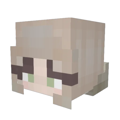 Nellliehh Minecraft avatar head, 3D render
