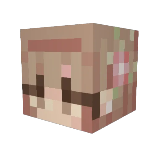Nells06 Minecraft avatar head, 3D render