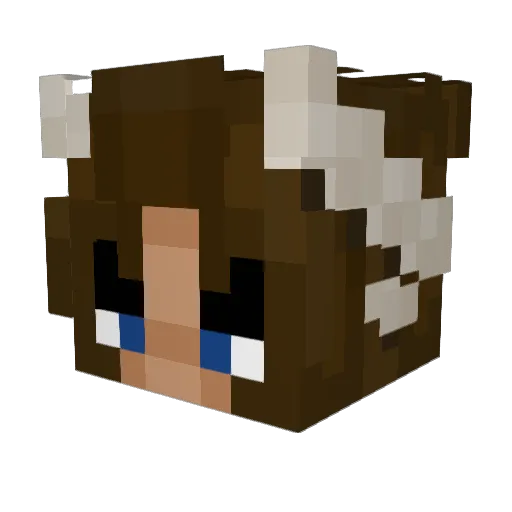 Nelltaur Minecraft avatar head, 3D render