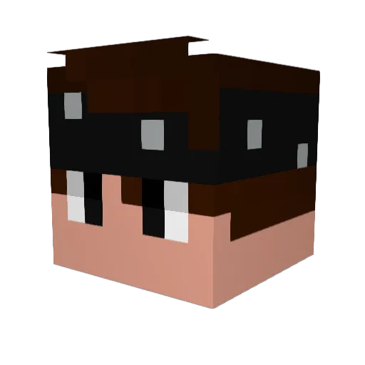 Nellwynn Minecraft avatar head, 3D render