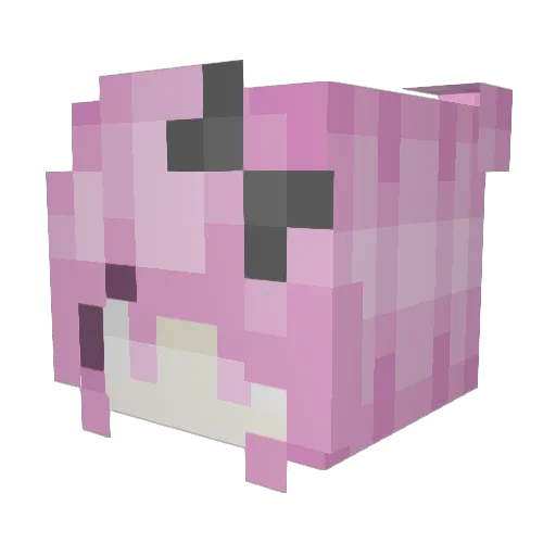 Nelly555 Minecraft avatar head, 3D render