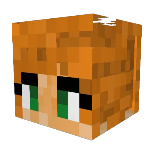 NellyTheTurtle Minecraft avatar head, 3D render