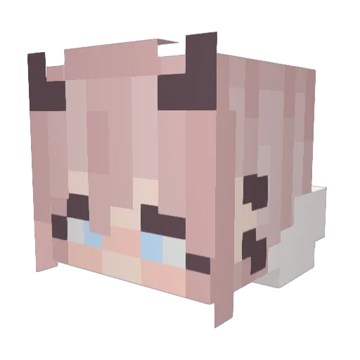Nellywane Minecraft avatar head, 3D render