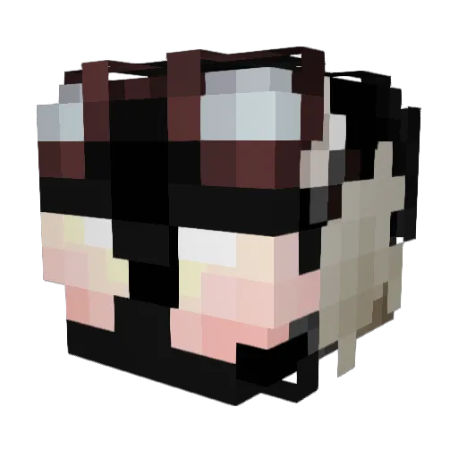 Neloco333 Minecraft avatar head, 3D render