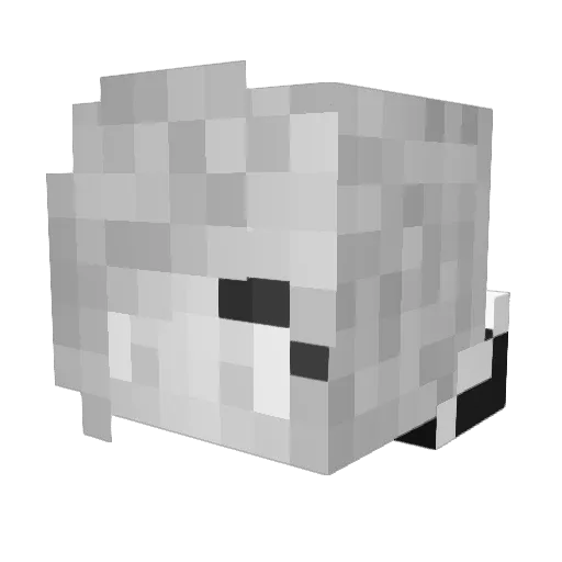 Nelonea Minecraft avatar head, 3D render