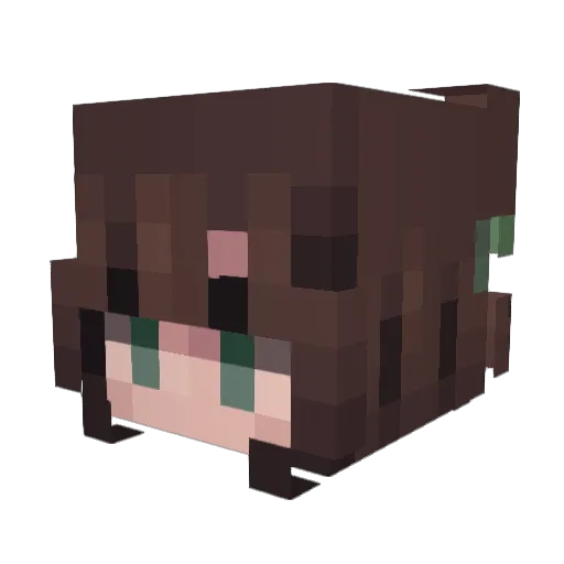Nelonex Minecraft avatar head, 3D render