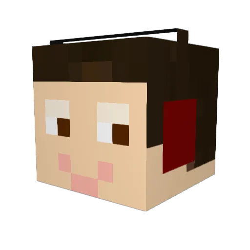 Nelphy Minecraft avatar head, 3D render