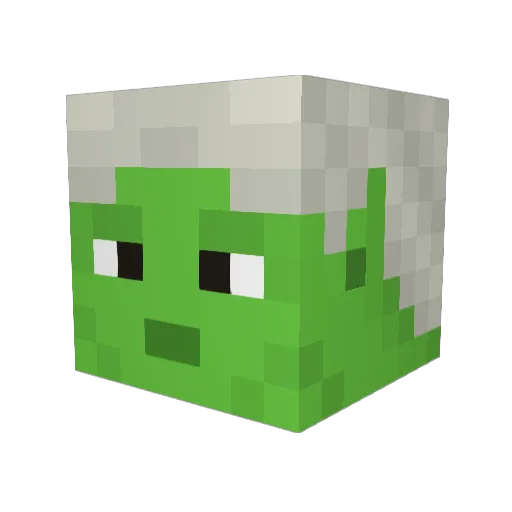 Nelror Minecraft avatar head, 3D render