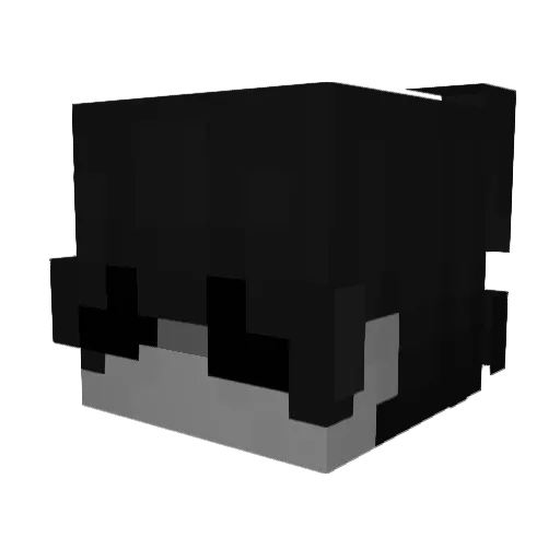 Nelsito_uwu Minecraft avatar head, 3D render