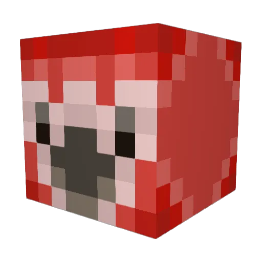 Nelson2302 Minecraft avatar head, 3D render