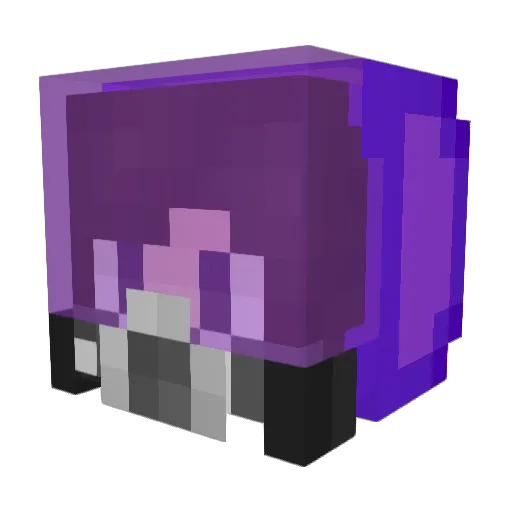 Nelson810 Minecraft avatar head, 3D render