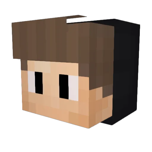 NelsonCook Minecraft avatar head, 3D render