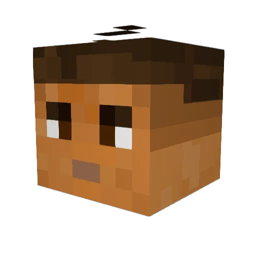 NelsonPlayz2009 Minecraft avatar head, 3D render