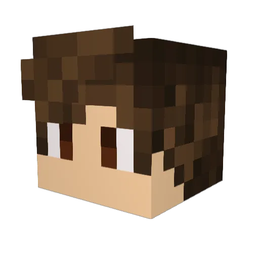 NelsonToasty Minecraft avatar head, 3D render