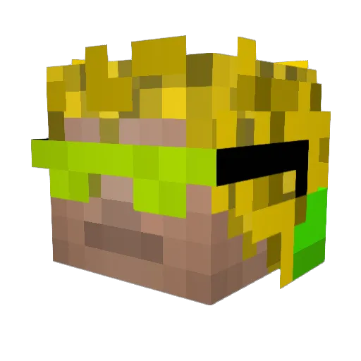 Nelsonlp13 Minecraft avatar head, 3D render