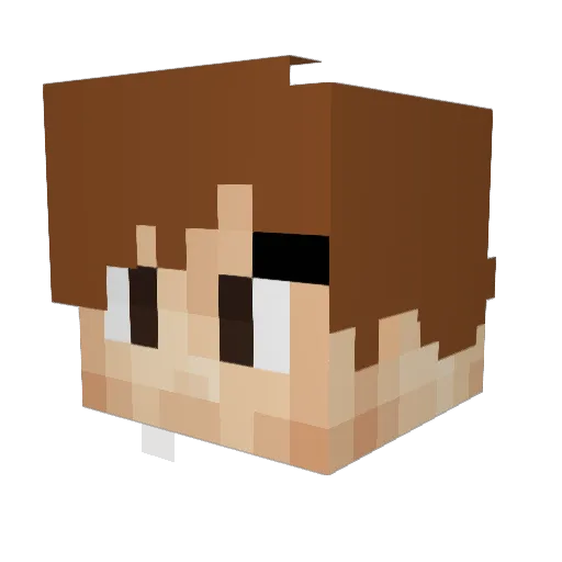 NelsuxD Minecraft avatar head, 3D render