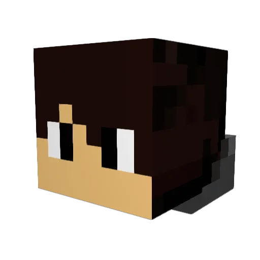 Nelui Minecraft avatar head, 3D render