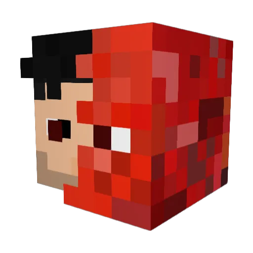 Nelus_9 Minecraft avatar head, 3D render