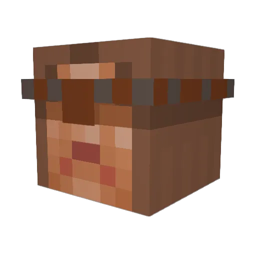 Nelwin16 Minecraft avatar head, 3D render