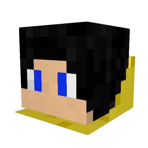 Nelxster Minecraft avatar head, 3D render