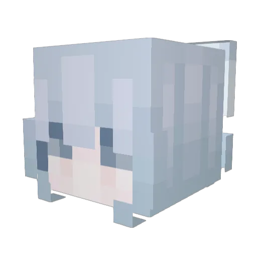 Nem1324 Minecraft avatar head, 3D render