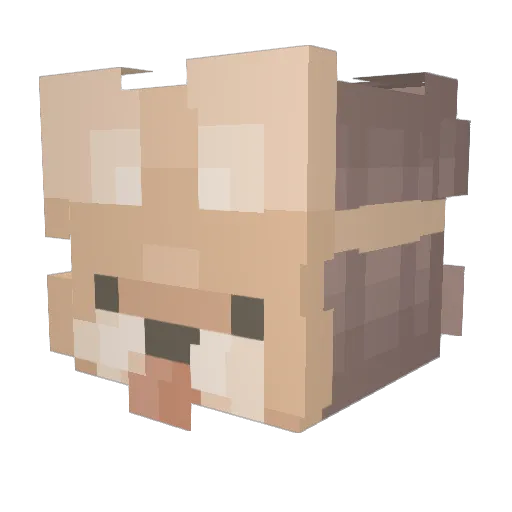 Nem92 Minecraft avatar head, 3D render