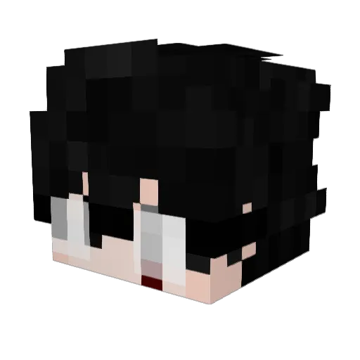 Nemaa06 Minecraft avatar head, 3D render