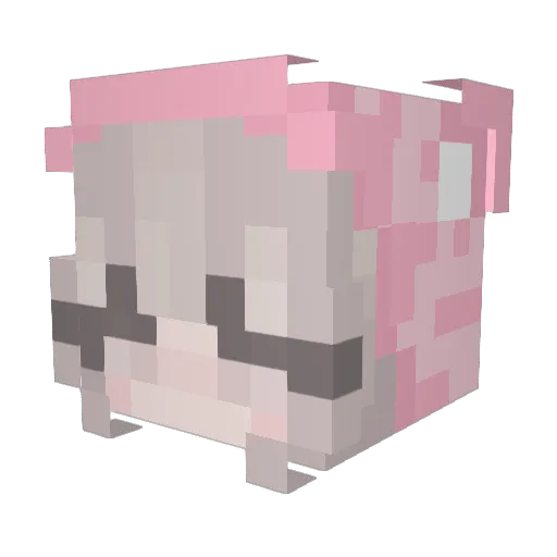 Nemcio Minecraft avatar head, 3D render