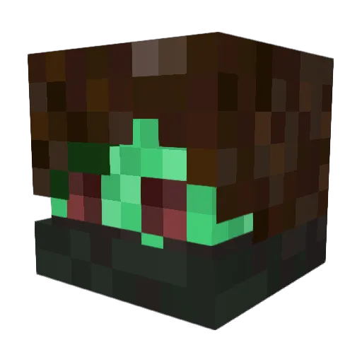 Nemeowq Minecraft avatar head, 3D render