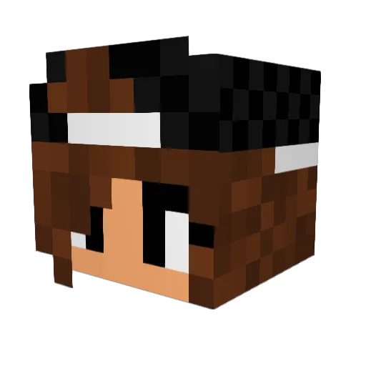 Nemesis11mega Minecraft avatar head, 3D render