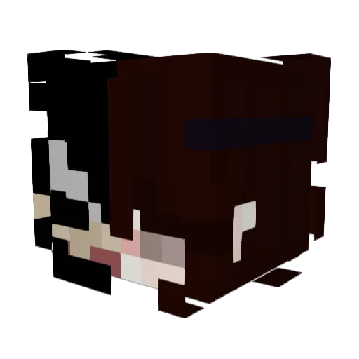 NemesisReaper_ Minecraft avatar head, 3D render
