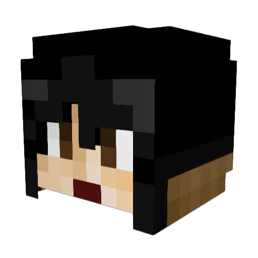 NemesisStorm Minecraft avatar head, 3D render