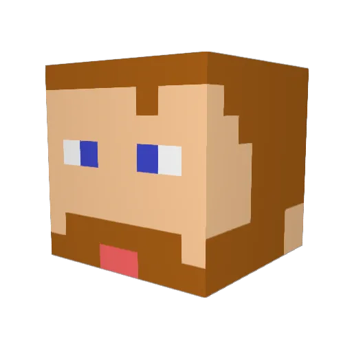 Nemesiss99 Minecraft avatar head, 3D render