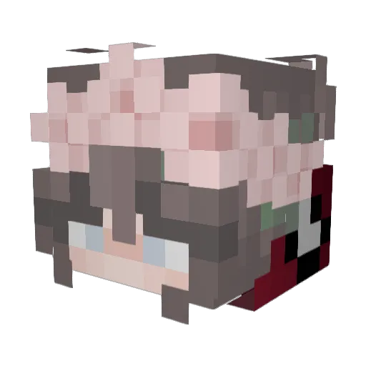 Nemezis_ Minecraft avatar head, 3D render