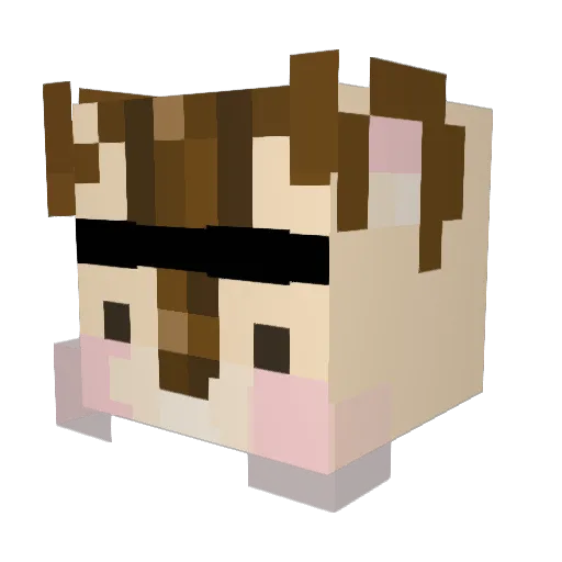 Nemi_99 Minecraft avatar head, 3D render