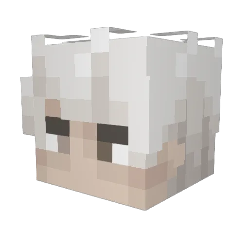 Nemisette Minecraft avatar head, 3D render
