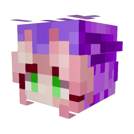 Nemitera Minecraft avatar head, 3D render