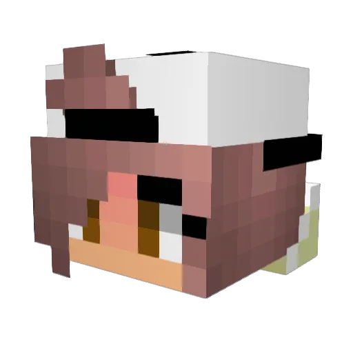 Nemky Minecraft avatar head, 3D render