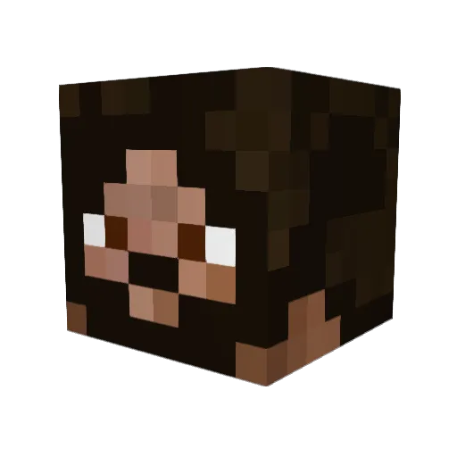 Nemo13 Minecraft avatar head, 3D render