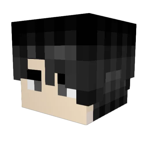 Nemo4zer0 Minecraft avatar head, 3D render
