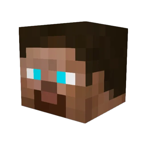 NemoCan Minecraft avatar head, 3D render