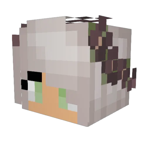 NemoNator Minecraft avatar head, 3D render