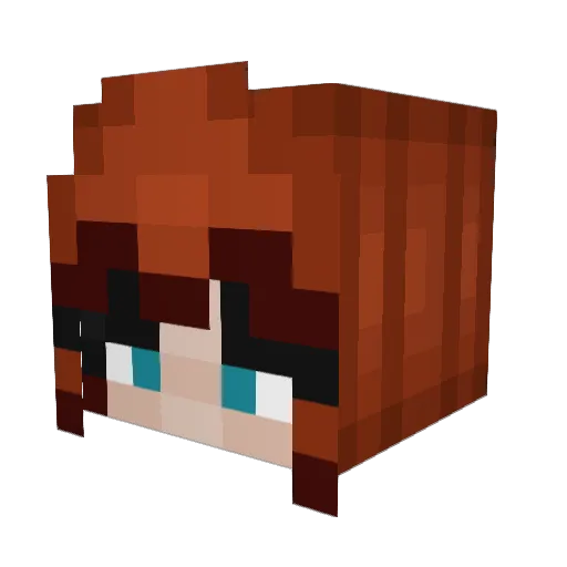 Nemo_LS Minecraft avatar head, 3D render